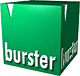 Burster GmbH & Co. KG Logo