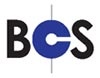 Büschel Connecting Systems GmbH & Co. KG Logo