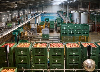 Konzept von Leuze gewährleistet maximale Sicherheit und effiziente Betriebsabläufe in Obstgroßmarkt